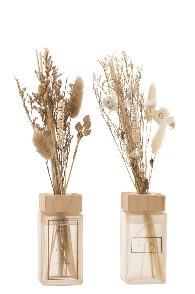 SCENTED OIL + FLOWERS BRANCHES NATURAL ASSORTMENT OF 2